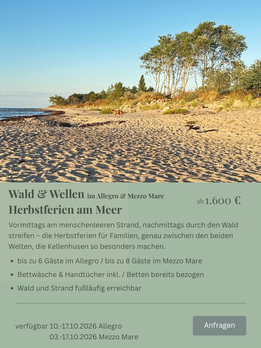 Strand im Herbstlicht in Kellenhusen